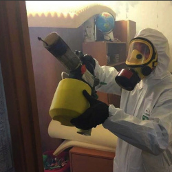 Уничтожение клопов в квартире. Лахденпохья